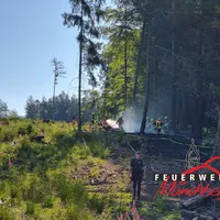 202309 - 15.06.2023 - B2 Wald kleiner 1000m2 (1).jpg